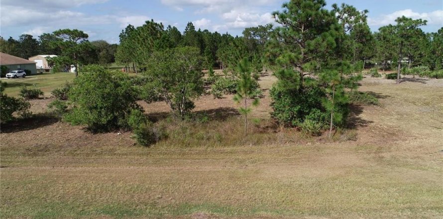 Land in Orlando, Florida № 2258238