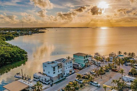 Снять в аренду квартиру в Ки-Ларго, Флорида 2 спальни, № 1959640 - фото 3