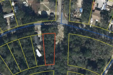 Land in Freeport, Florida № 560102 - photo 1