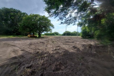 Immobilier commercial à Canal Point, Floride № 2272702
