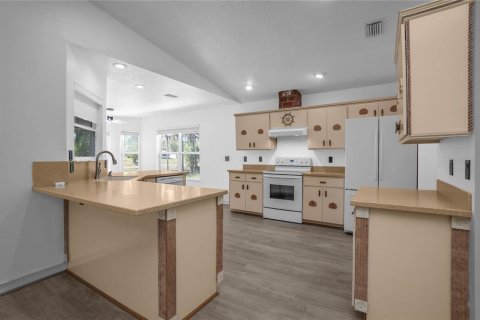 Villa ou maison à vendre à Inverness, Floride: 2 chambres, 168.71 m2 № 2401131 - photo 11