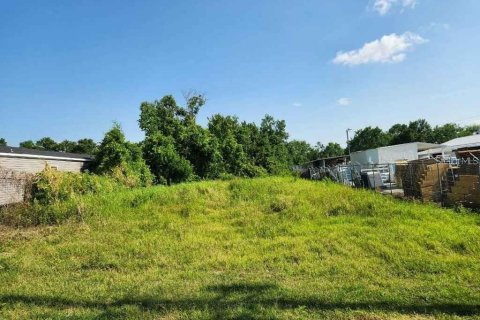 Land in Auburndale, Florida № 1899717 - photo 1