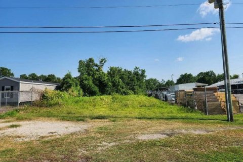 Land in Auburndale, Florida № 1899717 - photo 2