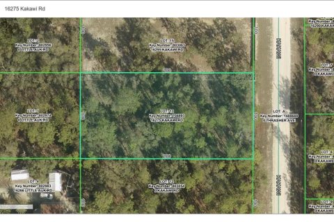 Villa ou maison à vendre à Weeki Wachee, Floride: 4 chambres, 237.55 m2 № 2395668 - photo 8