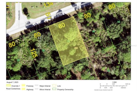 Land in Port Charlotte, Florida № 2163967