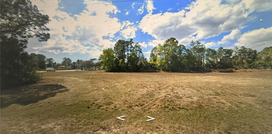 Land in Cape Coral, Florida № 915434