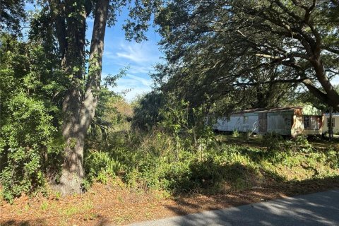 Terreno en venta en Winter Haven, Florida № 2160770 - foto 3