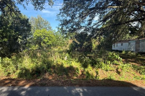Terreno en venta en Winter Haven, Florida № 2160770 - foto 2