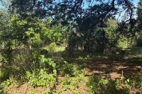 Terreno en Winter Haven, Florida № 2160770