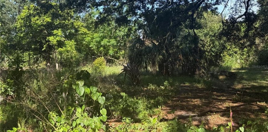 Terreno en Winter Haven, Florida № 2160770