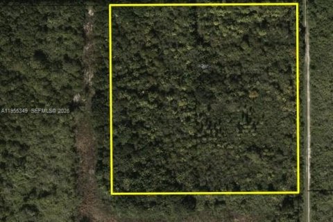 Immobilier commercial à Homestead, Floride № 2010987