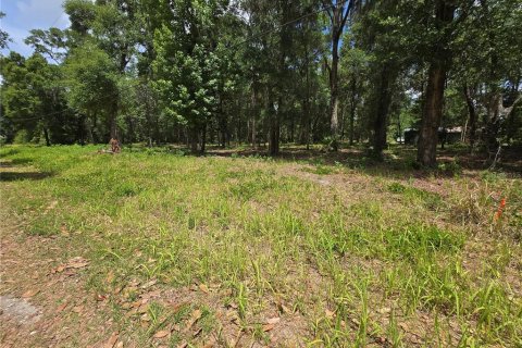 Land in Ocala, Florida № 2166701