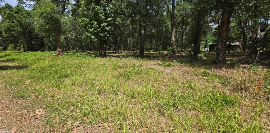 Land in Ocala, Florida № 2166701