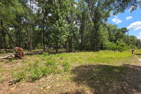 Land in Ocala, Florida № 2166701 - photo 6