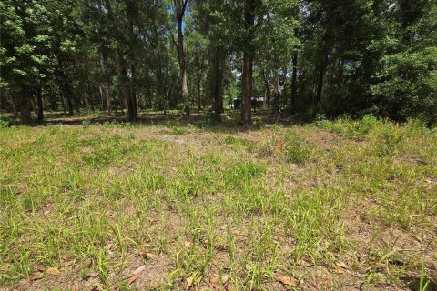 Land in Ocala, Florida № 2166701 - photo 2