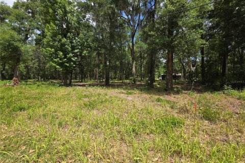 Land in Ocala, Florida № 2166701 - photo 3