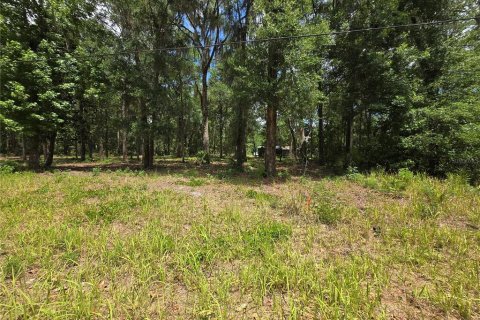 Land in Ocala, Florida № 2166701 - photo 4