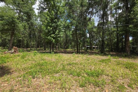 Land in Ocala, Florida № 2166701 - photo 5