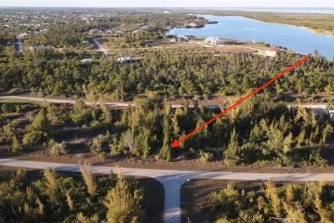Land in Port Charlotte, Florida № 2161627 - photo 3
