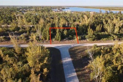 Land in Port Charlotte, Florida № 2161627 - photo 2