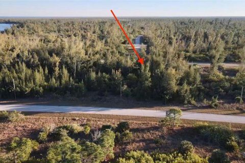 Land in Port Charlotte, Florida № 2161627 - photo 6
