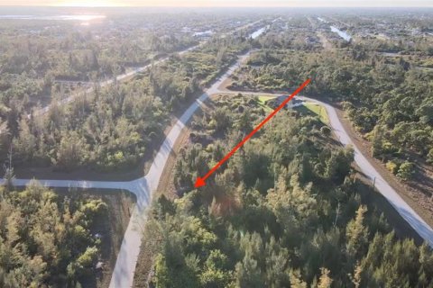 Land in Port Charlotte, Florida № 2161627 - photo 8