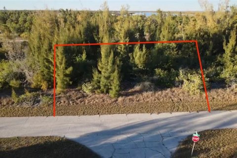 Land in Port Charlotte, Florida № 2161627