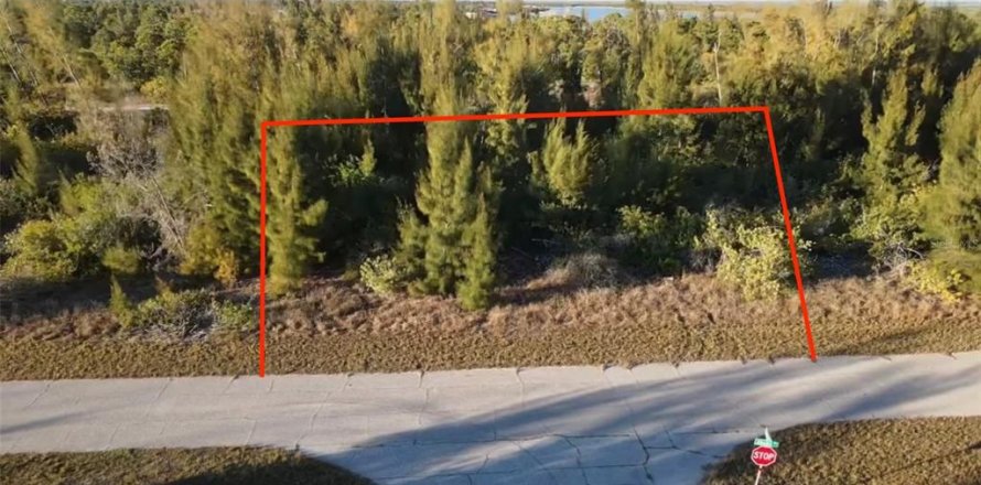 Land in Port Charlotte, Florida № 2161627