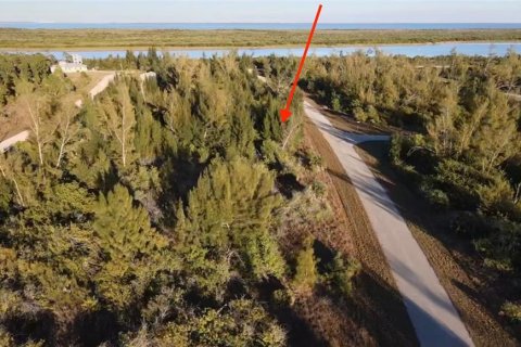 Land in Port Charlotte, Florida № 2161627 - photo 5