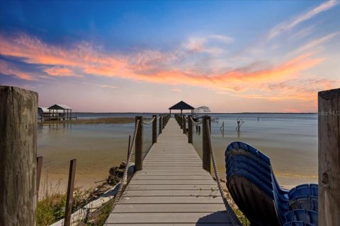 Casa en venta en Ocklawaha, Florida, 3 dormitorios, 264.4 m2 № 1514616 - foto 9