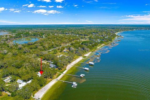 Casa en venta en Ocklawaha, Florida, 3 dormitorios, 264.4 m2 № 1514616 - foto 22