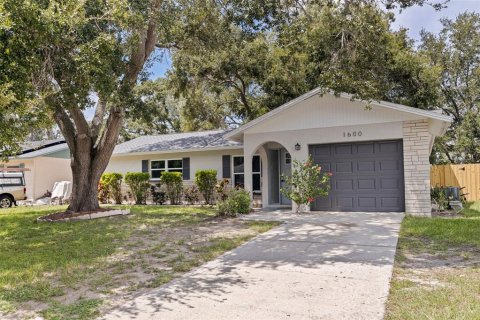 House in Dunedin, Florida 2 bedrooms, 101.36 sq.m. № 1894033 - photo 2