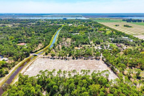 Commercial property in Loxahatchee Groves, Florida № 2146190 - photo 5