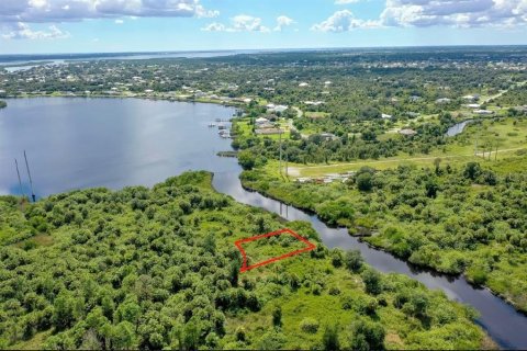 Land in Punta Gorda, Florida № 2161803 - photo 3