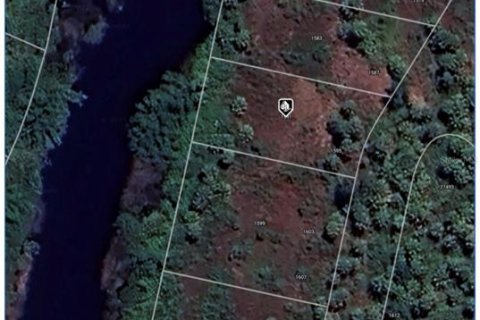 Land in Punta Gorda, Florida № 2161803 - photo 8