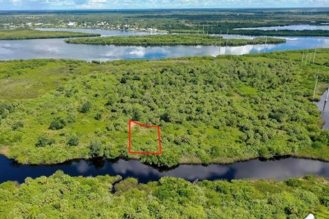 Land in Punta Gorda, Florida № 2161803 - photo 2