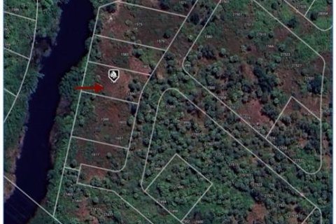 Land in Punta Gorda, Florida № 2161803 - photo 6