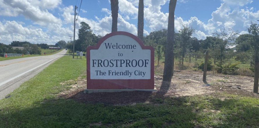 Terrain à Frostproof, Floride № 1007743