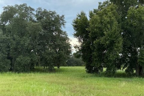 Land in Groveland, Florida № 2376643 - photo 13