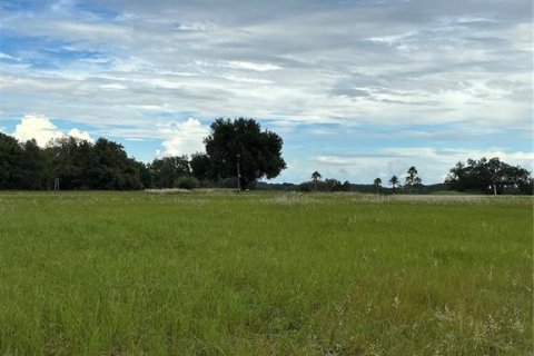 Land in Groveland, Florida № 2376643 - photo 9
