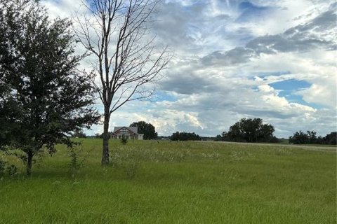 Land in Groveland, Florida № 2376643 - photo 15