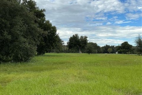Land in Groveland, Florida № 2376643 - photo 25