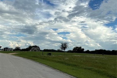 Land in Groveland, Florida № 2376643 - photo 8