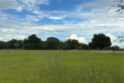 Land in Groveland, Florida № 2376643 - photo 10