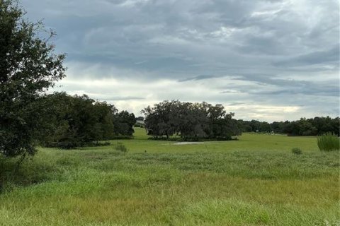 Land in Groveland, Florida № 2376643 - photo 22