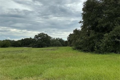Land in Groveland, Florida № 2376643 - photo 21