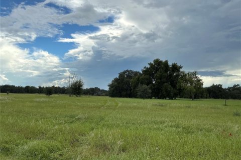 Land in Groveland, Florida № 2376643