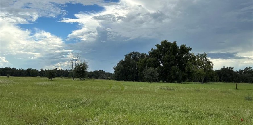 Land in Groveland, Florida № 2376643