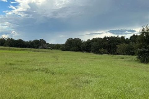 Land in Groveland, Florida № 2376643 - photo 24