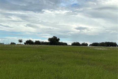 Land in Groveland, Florida № 2376643 - photo 19